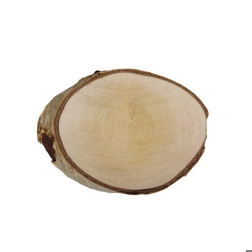 Fa szelet / korong kéreggel - 17-19 cm