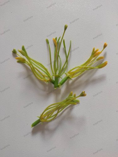 Sárgászöld virágközép -6,5 cm